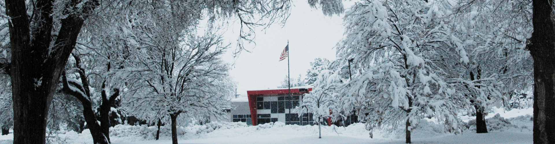 Bemis Library and snowy trees